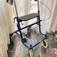 Carrello deambulatore