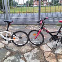 bici ragazza 20 pollici