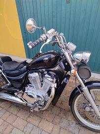 Suzuki Intruder vs 800 