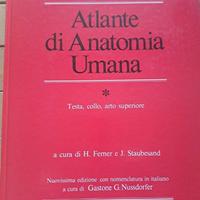 atlante di anatomia umana Sobotta