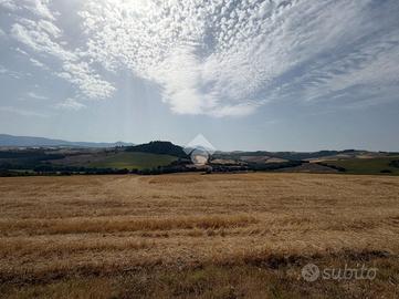 TER. AGRICOLO A ACQUASPARTA