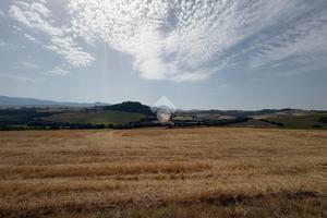 TER. AGRICOLO A ACQUASPARTA