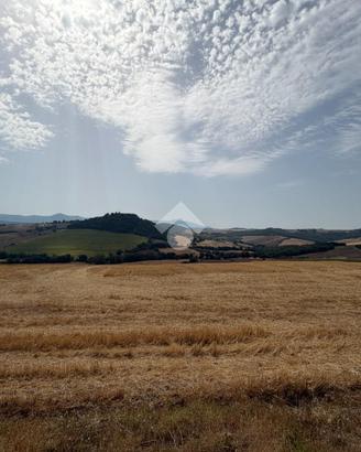 TER. AGRICOLO A ACQUASPARTA