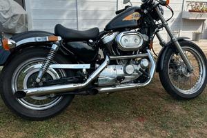 Harley davidson sportster
