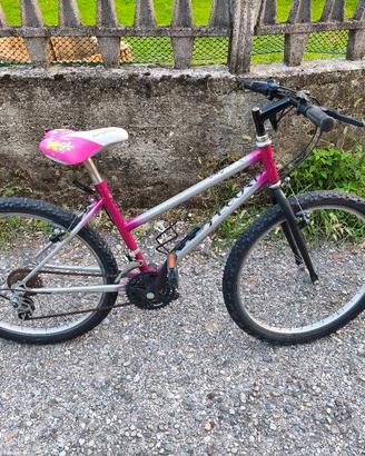 bicicletta Mountain bike ruote da 24