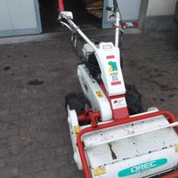 Trinciasarmenti Orec