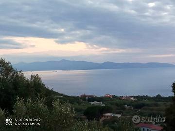 Appartamento vista mare a Palmi (RC)