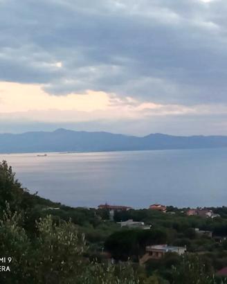 Appartamento vista mare a Palmi (RC)