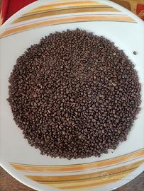 Sabbia per acquario 20kg