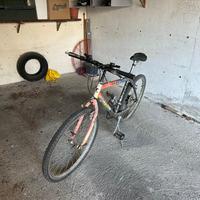 Mountain bike con cambio shimano