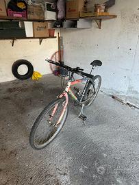 Mountain bike con cambio shimano