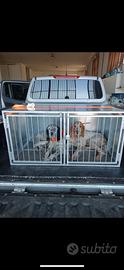 TRASPORTINO CANI DA CACCIA