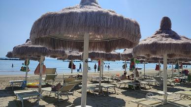 ombreggi palme in rafia