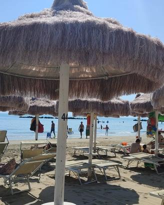 ombreggi palme in rafia