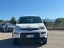 fiat-panda-1-0-s-s-hybrid-van-2-posti