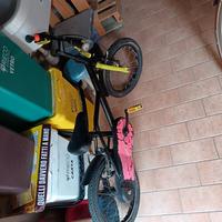 Bici da bambino