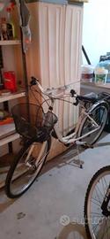 bicicletta donna 