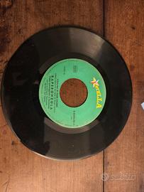 Disco in vinile 45 giri