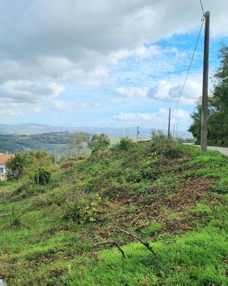 Terreno fronte strada di mq 10000