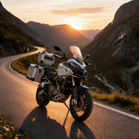 Ducati Multistrada Enduro 1200, Desmo fatto