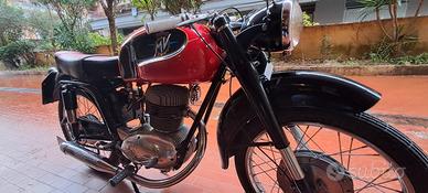 MV Agusta Altro modello - 1956