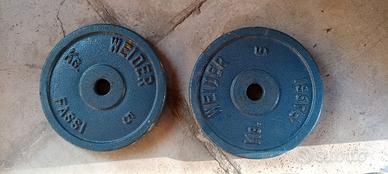2 pesi in ghisa da 5 kg