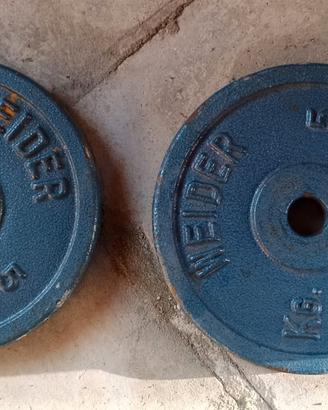 2 pesi in ghisa da 5 kg