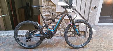 Specialized turbo levo