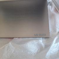 base /  supporto girevole  TV LG, 55 - 65 pollici