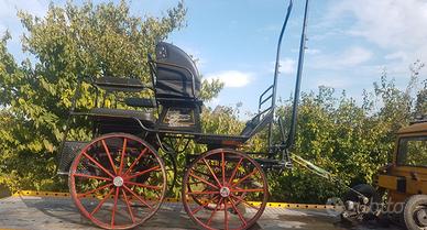 Carrozza cavalli glinkowsky