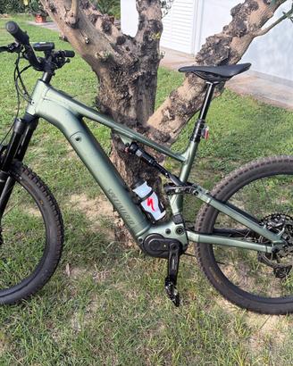 Specialized verde militare