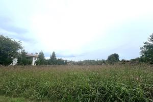TER. AGRICOLO A SAN ZENONE DEGLI EZZELINI