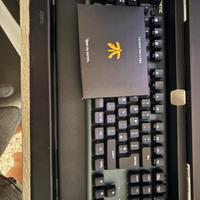 Fnatic MiniStreack