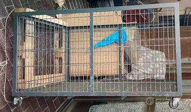 Recinto per piccoli animali 