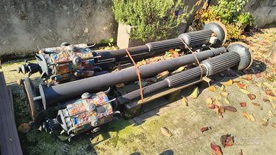 Lambioni retrò da giardino.