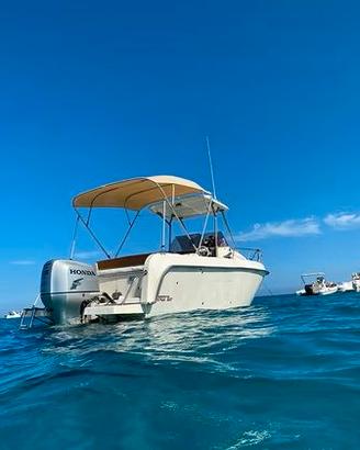 Barca CORAL BAY Walkaround + HONDA BF225