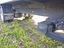 Immagine 17