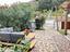 Immagine 27