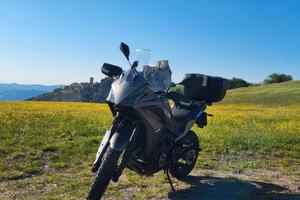 Moto Morini X-Cape 650 - 2023