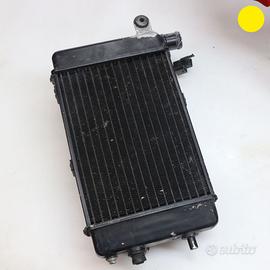 Radiatore acqua destro APRILIA RSV 1000