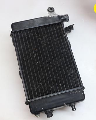Radiatore acqua destro APRILIA RSV 1000