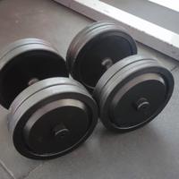 Coppia di manubri da 24 kg