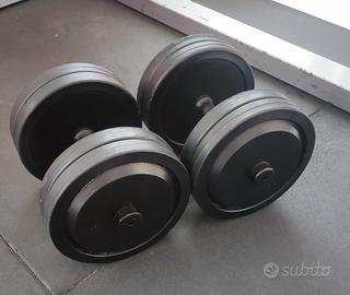 Coppia di manubri da 24 kg