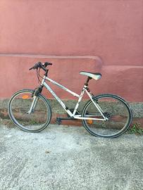 Bicicletta donna