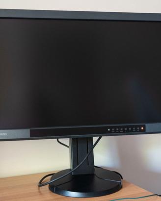 MONITOR PROFESSIONALE EIZO CX271