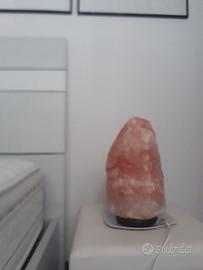 Lampade di sale rosa dell'Himalaya varie misure