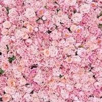 SFONDO FOTOGRAFICO ROSA FLOREALE 3x2 m
