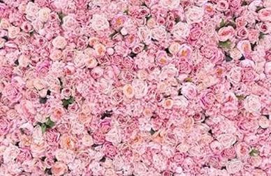 SFONDO FOTOGRAFICO ROSA FLOREALE 3x2 m
