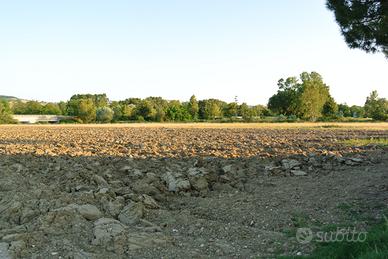 Terreno irriguo pianeggiante