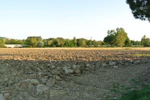 Terreno irriguo pianeggiante